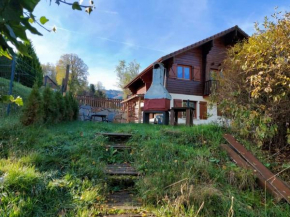 Studio in a chalet near the Vosges ski slopes